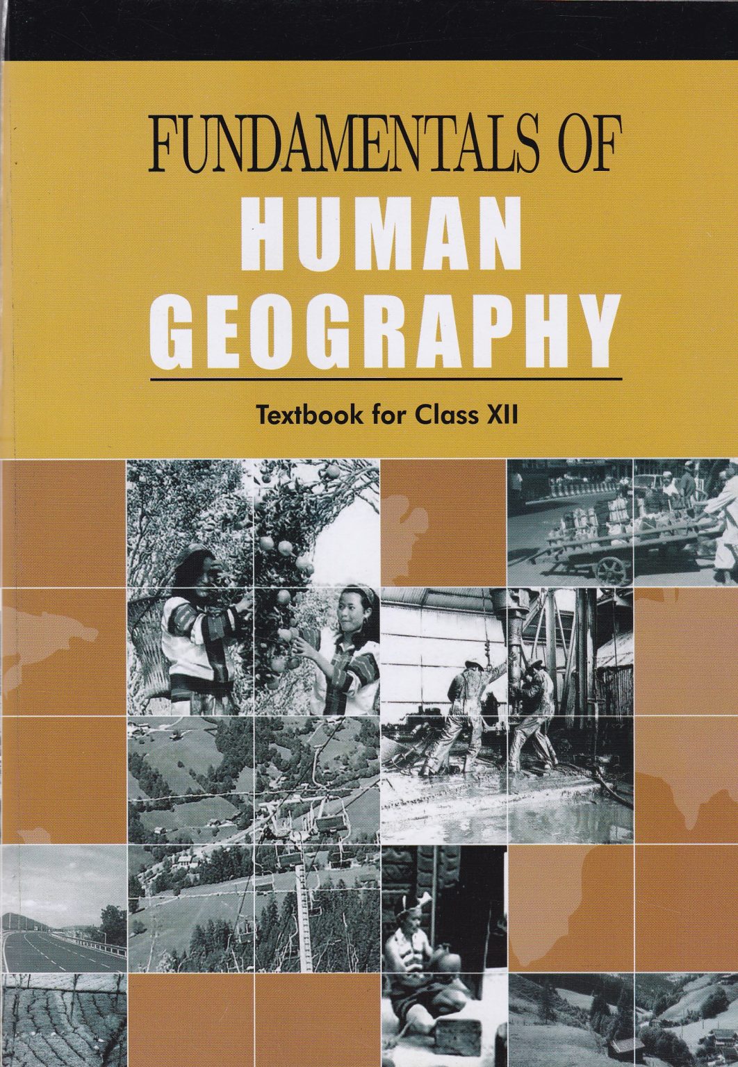 your human geography dissertation