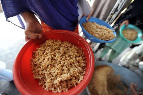 Towards a Hunger-Free Pakistan By Genevieve Hussain