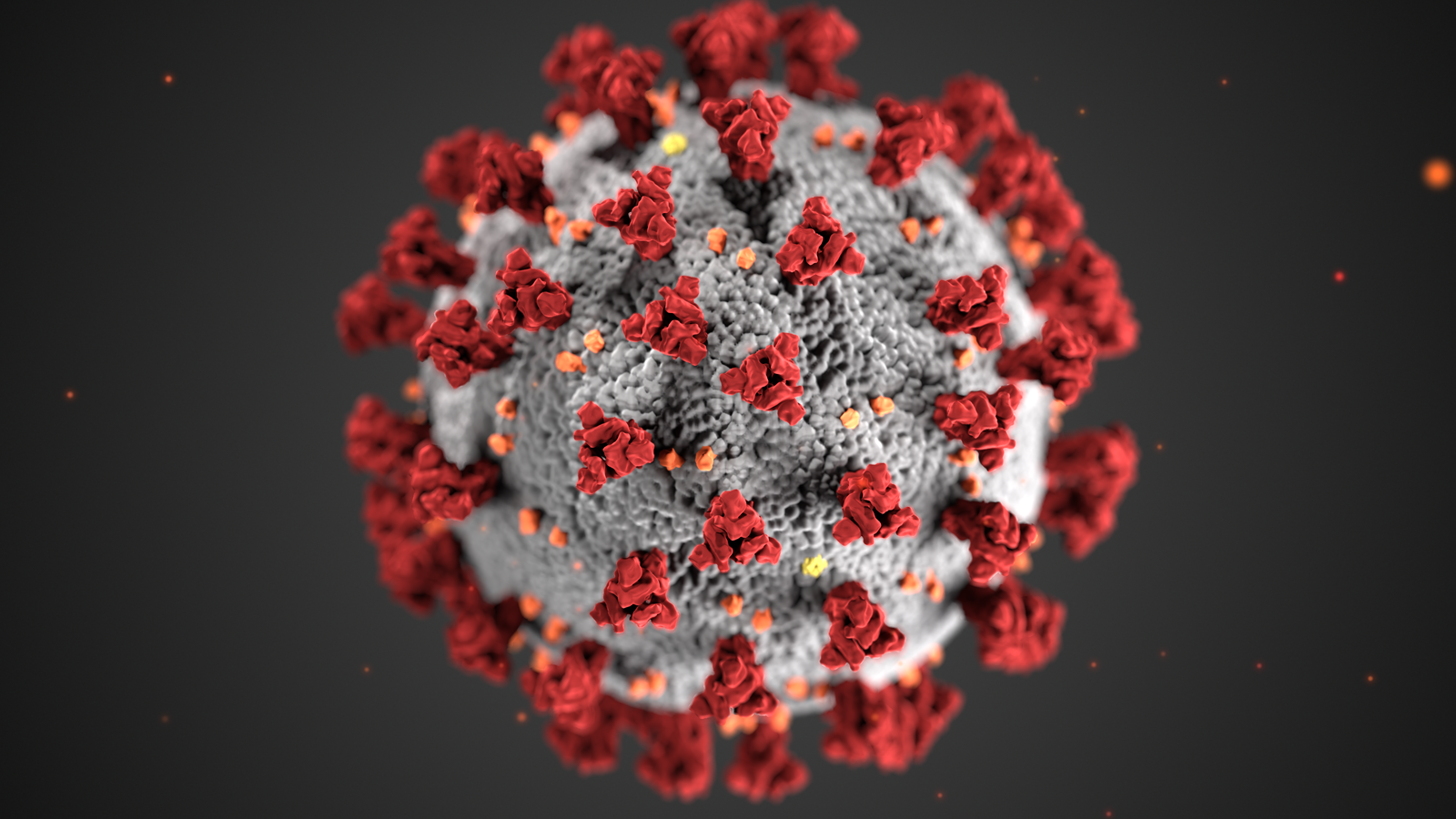 The Second Peak of Coronavirus | Editorial