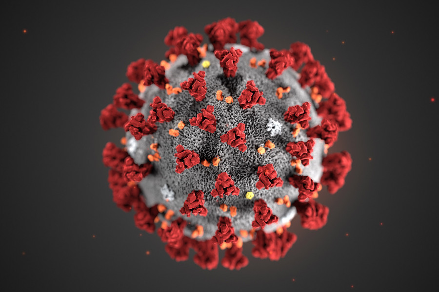 Impact of the Pandemic | Editorial