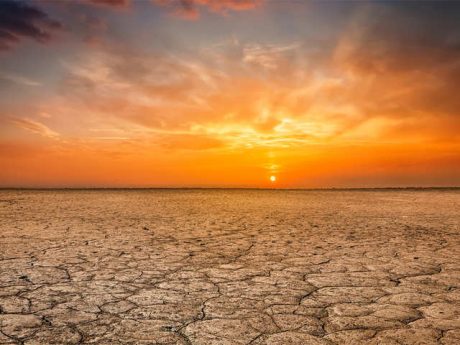Dealing With Climate Change Challenge By Malik Muhammad Ashraf