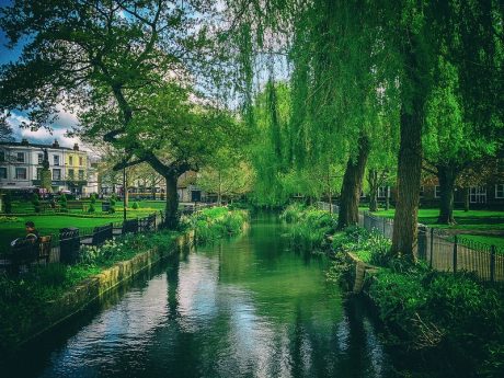 Climate-Smart Cities By Ali Tauqeer Sheikh