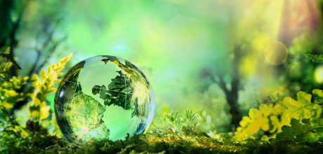 Sustainable Development and Future of the World By Muhammad Anwar Farooq