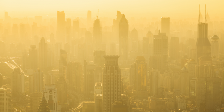 Environmental Pollution and COP26 By Attiya Munawer