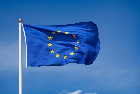 The European Union at the Crossroads By Syed Wajahat Ali