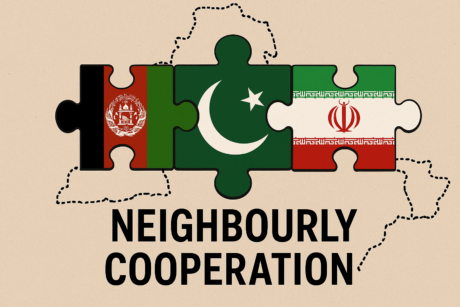 Neighbourly cooperation By Muhammad Amir Rana