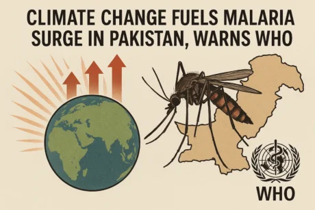 Climate Change Fuels Malaria Surge in Pakistan, Warns WHO