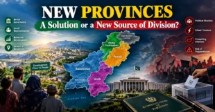 New Provinces: A Solution or a New Source of Division?